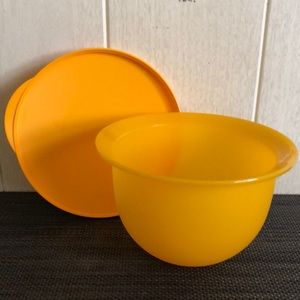 Tupperware Impressions Mini Bowl